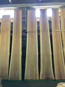 『木都能代は今』。