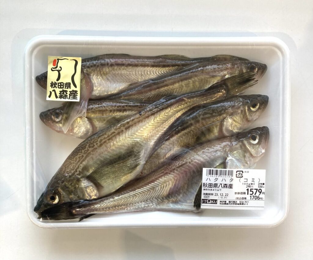 『ハタハタなぁぜなぁぜ』!? | 株式会社サンワ興建