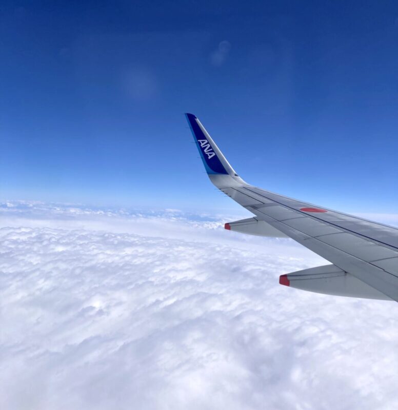 『失われているのが残念』。