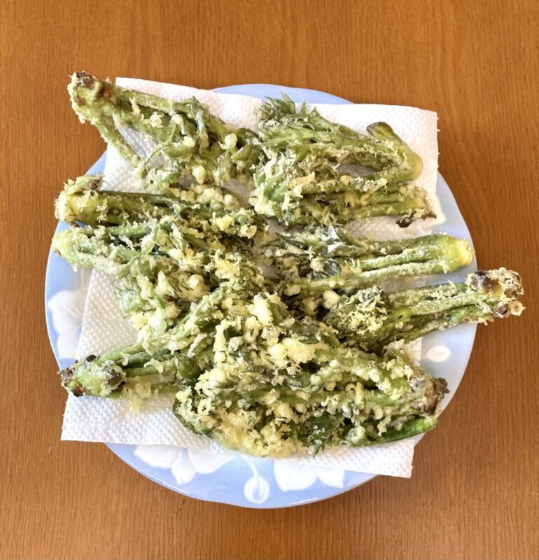 『大量のタラの芽』。