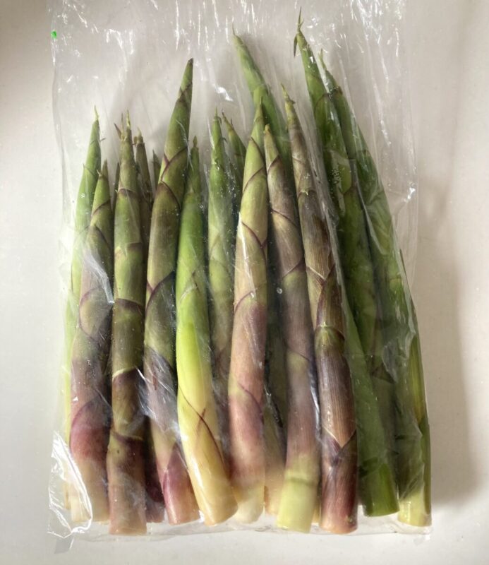 『春の恵み』。