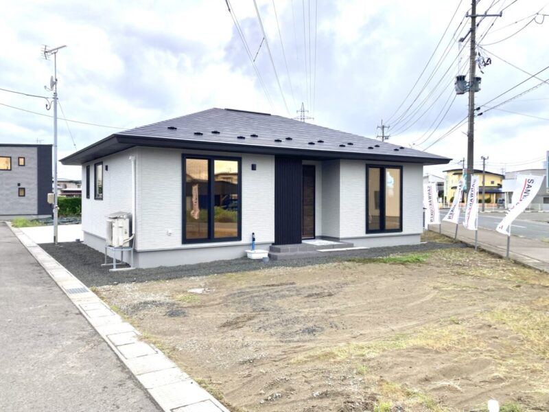 『IIIE HIRAYAモデル』。